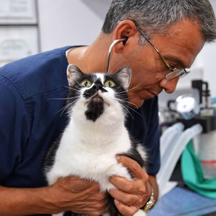 Annual Wellness and Preventive Care