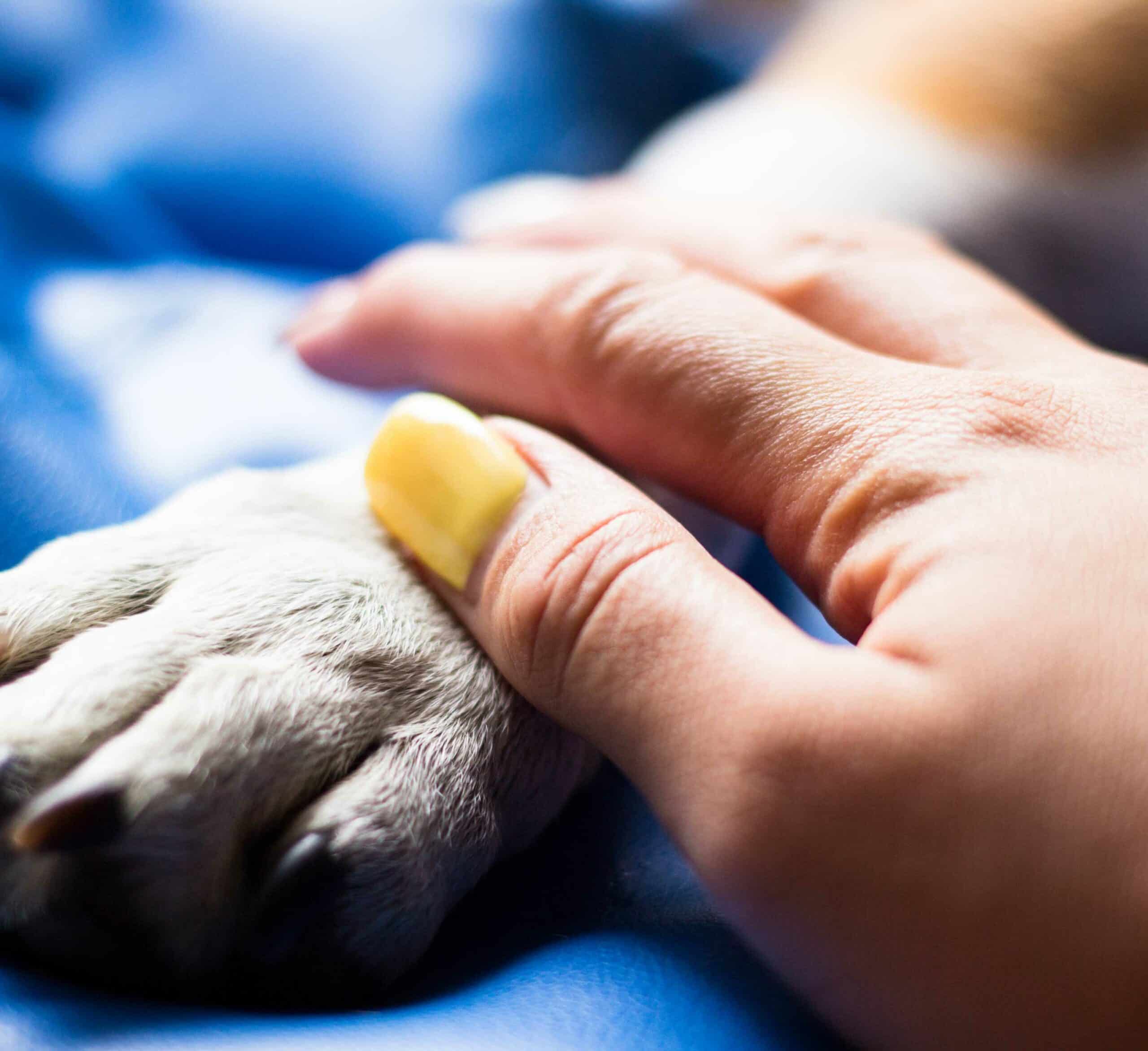 Serving Families Across Magnolia and Surrounding Communities