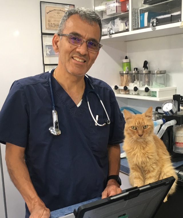 Welcome to Crossway Veterinary Housecalls