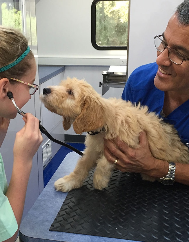 Welcome to crossway Vet Housecalls